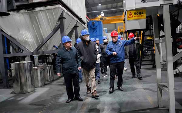 中国工程院陈勇院士莅临顶立科技考察指导 (10)