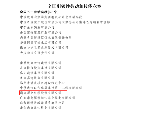 国家级荣誉！顶立科技荣获“全国五一劳动奖状”